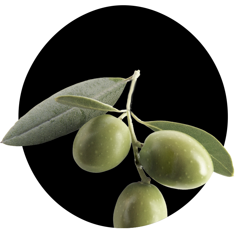 Olive e olio extravergine di oliva di alta qualità da un'azienda agricola familiare